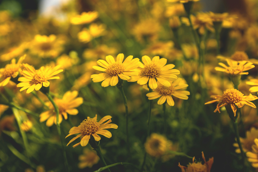 jesse schoff y UTckHkgpM unsplash